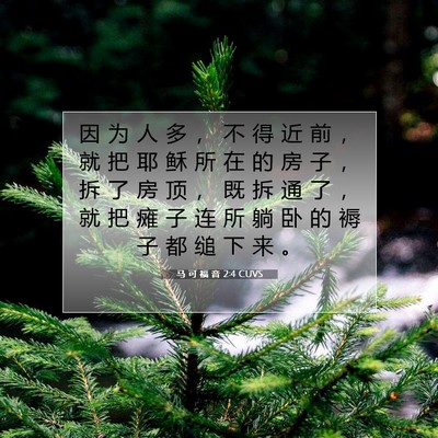 Picture 07 - 马 可 福 音 2:4 CUVS - 因 为 人 多 ， 不 得 近 前 ， 就 把 - Bible Verse Picture