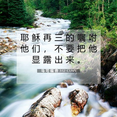 Picture 07 - 马 可 福 音 3:12 CUVS - 耶 稣 再 三 的 嘱 咐 他 们 ， 不 要 - Bible Verse Picture
