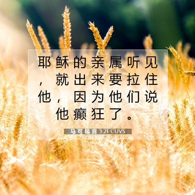 Picture 07 - 马 可 福 音 3:21 CUVS - 耶 稣 的 亲 属 听 见 ， 就 出 来 要 - Bible Verse Picture