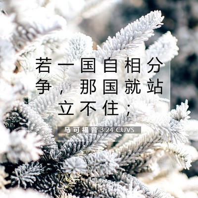 Picture 07 - 马 可 福 音 3:24 CUVS - 若 一 国 自 相 分 争 ， 那 国 就 站 - Bible Verse Picture
