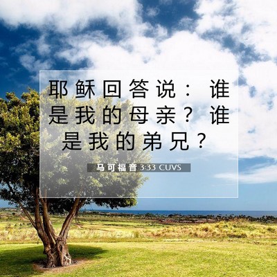Picture 07 - 马 可 福 音 3:33 CUVS - 耶 稣 回 答 说 ： 谁 是 我 的 母 亲 - Bible Verse Picture