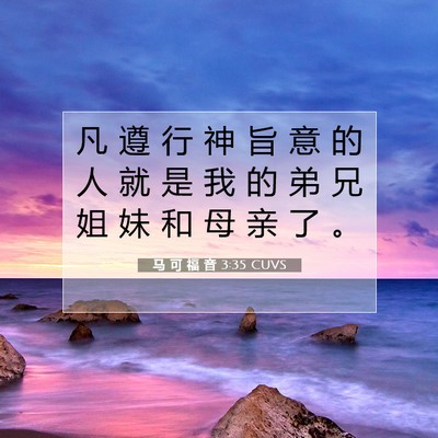 Picture 07 - 马 可 福 音 3:35 CUVS - 凡 遵 行 神 旨 意 的 人 就 是 我 的 - Bible Verse Picture