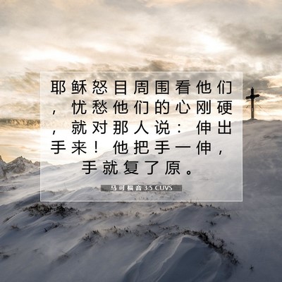Picture 07 - 马 可 福 音 3:5 CUVS - 耶 稣 怒 目 周 围 看 他 们 ， 忧 愁 - Bible Verse Picture