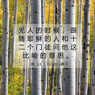 Picture 07 - 马 可 福 音 4:10 CUVS - 无 人 的 时 候 ， 跟 随 耶 稣 的 人 - Bible Verse Picture