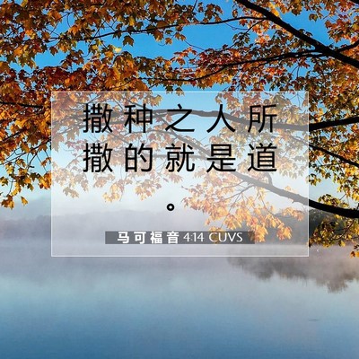 Picture 07 - 马 可 福 音 4:14 CUVS - 撒 种 之 人 所 撒 的 就 是 道 - Bible Verse Picture