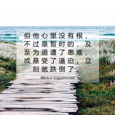 Picture 07 - 马 可 福 音 4:17 CUVS - 但 他 心 里 没 有 根 ， 不 过 是 暂 - Bible Verse Picture