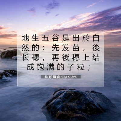 Picture 07 - 马 可 福 音 4:28 CUVS - 地 生 五 谷 是 出 於 自 然 的 ： 先 - Bible Verse Picture