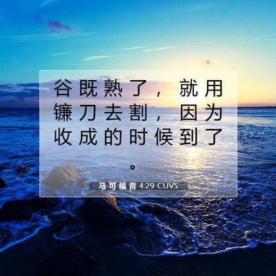 Picture 07 - 马 可 福 音 4:29 CUVS - 谷 既 熟 了 ， 就 用 镰 刀 去 割 ， - Bible Verse Picture