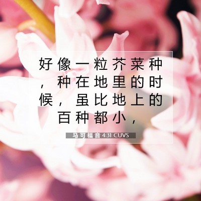 Picture 07 - 马 可 福 音 4:31 CUVS - 好 像 一 粒 芥 菜 种 ， 种 在 地 里 - Bible Verse Picture