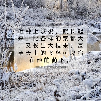 Picture 07 - 马 可 福 音 4:32 CUVS - 但 种 上 以 後 ， 就 长 起 来 ， 比 - Bible Verse Picture