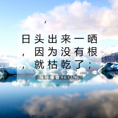 Picture 07 - 马 可 福 音 4:6 CUVS - 日 头 出 来 一 晒 ， 因 为 没 有 根 - Bible Verse Picture