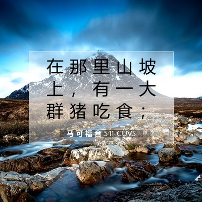 Picture 07 - 马 可 福 音 5:11 CUVS - 在 那 里 山 坡 上 ， 有 一 大 群 猪 - Bible Verse Picture