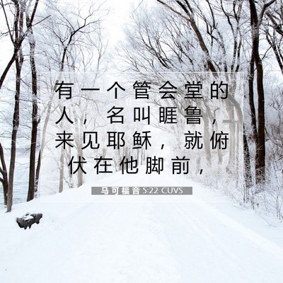 Picture 07 - 马 可 福 音 5:22 CUVS - 有 一 个 管 会 堂 的 人 ， 名 叫 睚 - Bible Verse Picture