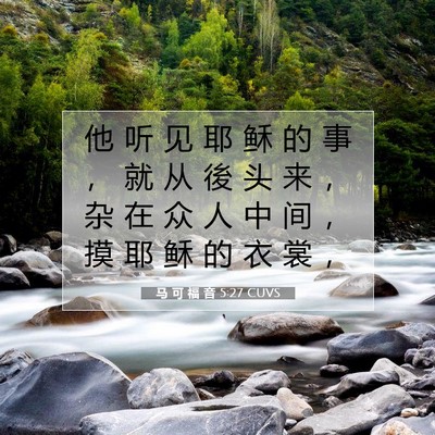 Picture 07 - 马 可 福 音 5:27 CUVS - 他 听 见 耶 稣 的 事 ， 就 从 後 头 - Bible Verse Picture