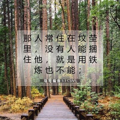Picture 07 - 马 可 福 音 5:3 CUVS - 那 人 常 住 在 坟 茔 里 ， 没 有 人 - Bible Verse Picture