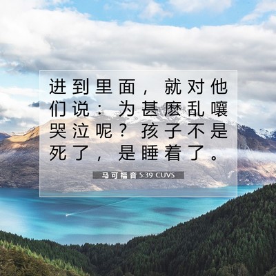 Picture 07 - 马 可 福 音 5:39 CUVS - 进 到 里 面 ， 就 对 他 们 说 ： 为 - Bible Verse Picture