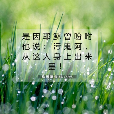 Picture 07 - 马 可 福 音 5:8 CUVS - 是 因 耶 稣 曾 吩 咐 他 说 ： 污 鬼 - Bible Verse Picture