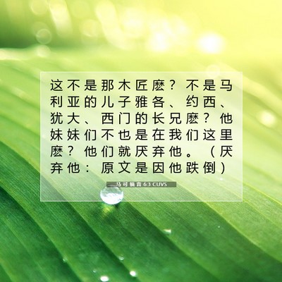 Picture 07 - 马 可 福 音 6:3 CUVS - 这 不 是 那 木 匠 麽 ？ 不 是 马 利 - Bible Verse Picture