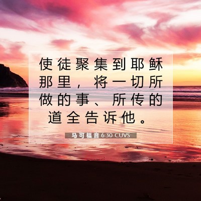 Picture 07 - 马 可 福 音 6:30 CUVS - 使 徒 聚 集 到 耶 稣 那 里 ， 将 一 - Bible Verse Picture