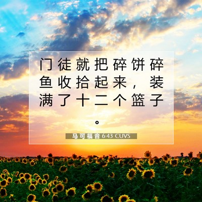 Picture 07 - 马 可 福 音 6:43 CUVS - 门 徒 就 把 碎 饼 碎 鱼 收 拾 起 来 - Bible Verse Picture
