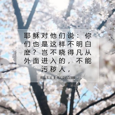 Picture 07 - 马 可 福 音 7:18 CUVS - 耶 稣 对 他 们 说 ： 你 们 也 是 这 - Bible Verse Picture