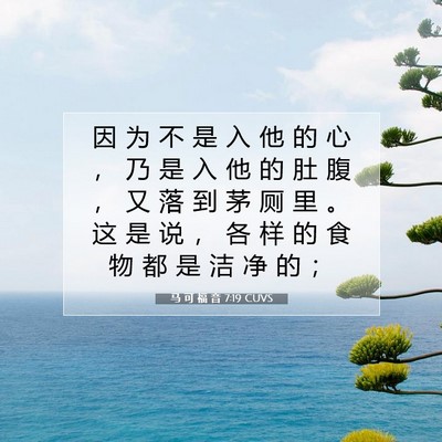 Picture 07 - 马 可 福 音 7:19 CUVS - 因 为 不 是 入 他 的 心 ， 乃 是 入 - Bible Verse Picture