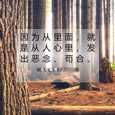 Picture 07 - 马 可 福 音 7:21 CUVS - 因 为 从 里 面 ， 就 是 从 人 心 里 - Bible Verse Picture