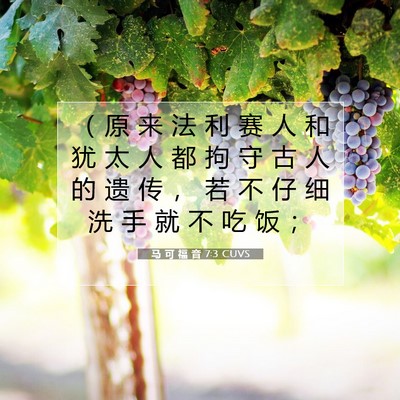 Picture 07 - 马 可 福 音 7:3 CUVS - （ 原 来 法 利 赛 人 和 犹 太 人 都 - Bible Verse Picture