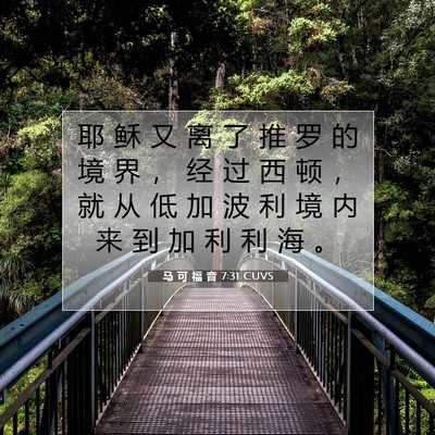 Picture 07 - 马 可 福 音 7:31 CUVS - 耶 稣 又 离 了 推 罗 的 境 界 ， 经 - Bible Verse Picture