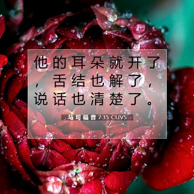 Picture 07 - 马 可 福 音 7:35 CUVS - 他 的 耳 朵 就 开 了 ， 舌 结 也 解 - Bible Verse Picture