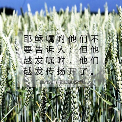 Picture 07 - 马 可 福 音 7:36 CUVS - 耶 稣 嘱 咐 他 们 不 要 告 诉 人 ； - Bible Verse Picture