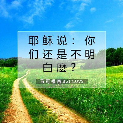 Picture 07 - 马 可 福 音 8:21 CUVS - 耶 稣 说 ： 你 们 还 是 不 明 白 麽 - Bible Verse Picture