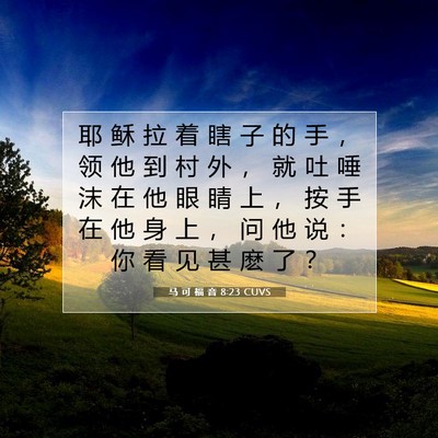 Picture 07 - 马 可 福 音 8:23 CUVS - 耶 稣 拉 着 瞎 子 的 手 ， 领 他 到 - Bible Verse Picture