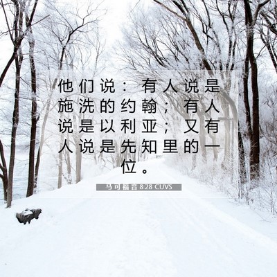 Picture 07 - 马 可 福 音 8:28 CUVS - 他 们 说 ： 有 人 说 是 施 洗 的 约 - Bible Verse Picture