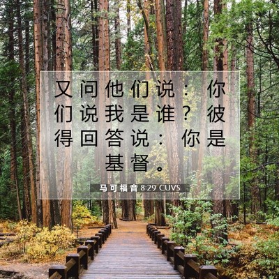 Picture 07 - 马 可 福 音 8:29 CUVS - 又 问 他 们 说 ： 你 们 说 我 是 谁 - Bible Verse Picture