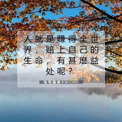 Picture 07 - 马 可 福 音 8:36 CUVS - 人 就 是 赚 得 全 世 界 ， 赔 上 自 - Bible Verse Picture