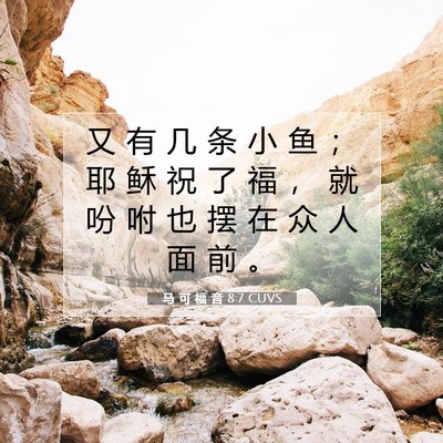 Picture 07 - 马 可 福 音 8:7 CUVS - 又 有 几 条 小 鱼 ； 耶 稣 祝 了 福 - Bible Verse Picture