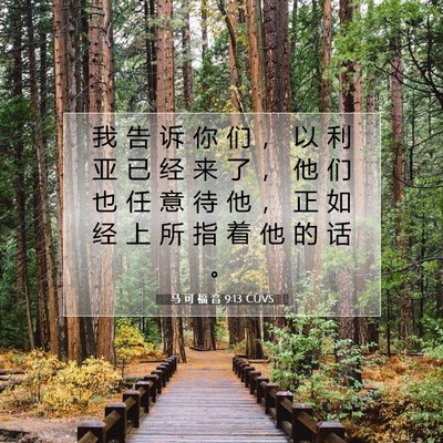 Picture 07 - 马 可 福 音 9:13 CUVS - 我 告 诉 你 们 ， 以 利 亚 已 经 来 - Bible Verse Picture