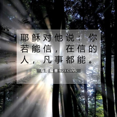 Picture 07 - 马 可 福 音 9:23 CUVS - 耶 稣 对 他 说 ： 你 若 能 信 ， 在 - Bible Verse Picture