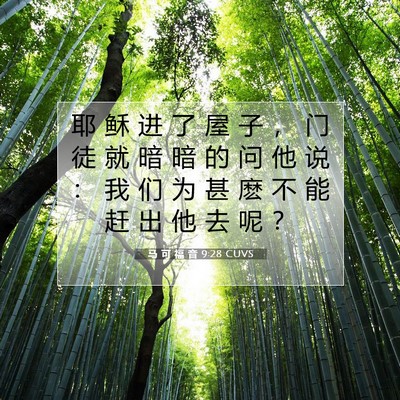 Picture 07 - 马 可 福 音 9:28 CUVS - 耶 稣 进 了 屋 子 ， 门 徒 就 暗 暗 - Bible Verse Picture