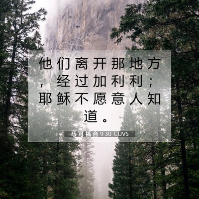 Picture 07 - 马 可 福 音 9:30 CUVS - 他 们 离 开 那 地 方 ， 经 过 加 利 - Bible Verse Picture