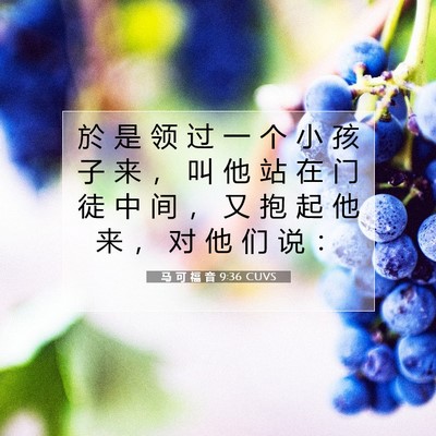 Picture 07 - 马 可 福 音 9:36 CUVS - 於 是 领 过 一 个 小 孩 子 来 ， 叫 - Bible Verse Picture