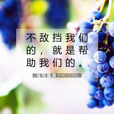 Picture 07 - 马 可 福 音 9:40 CUVS - 不 敌 挡 我 们 的 ， 就 是 帮 助 我 - Bible Verse Picture