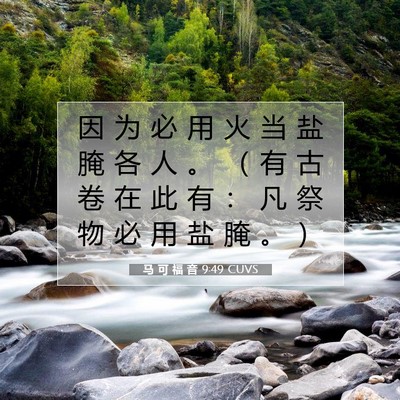 Picture 07 - 马 可 福 音 9:49 CUVS - 因 为 必 用 火 当 盐 腌 各 人 。 （ - Bible Verse Picture