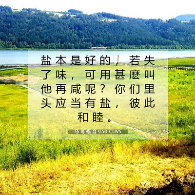 Picture 07 - 马 可 福 音 9:50 CUVS - 盐 本 是 好 的 ， 若 失 了 味 ， 可 - Bible Verse Picture