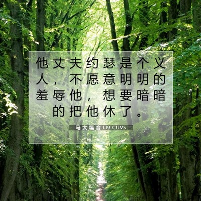 Picture 07 - 马 太 福 音 1:19 CUVS - 他 丈 夫 约 瑟 是 个 义 人 ， 不 愿 - Bible Verse Picture