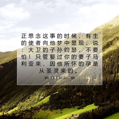 Picture 07 - 马 太 福 音 1:20 CUVS - 正 思 念 这 事 的 时 候 ， 有 主 的 - Bible Verse Picture