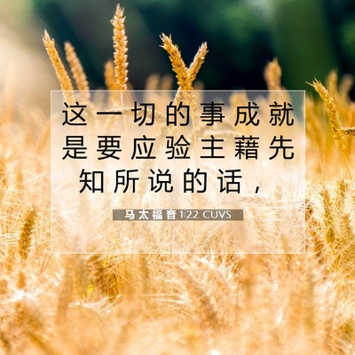 Picture 07 - 马 太 福 音 1:22 CUVS - 这 一 切 的 事 成 就 是 要 应 验 主 - Bible Verse Picture