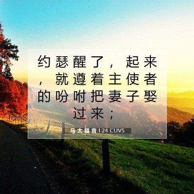 Picture 07 - 马 太 福 音 1:24 CUVS - 约 瑟 醒 了 ， 起 来 ， 就 遵 着 主 - Bible Verse Picture