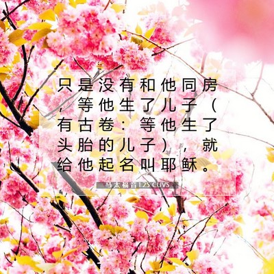 Picture 07 - 马 太 福 音 1:25 CUVS - 只 是 没 有 和 他 同 房 ， 等 他 生 - Bible Verse Picture